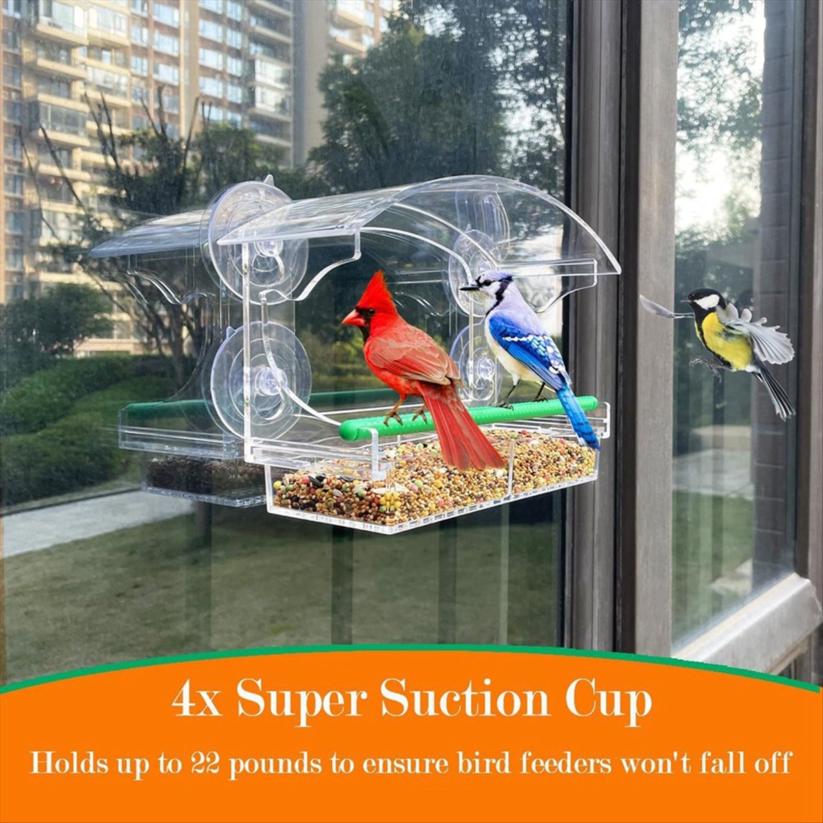 Photo inspiration: Gallery Detail: Bird Feeder Acrylic Transparent Window Bird Feeder Tray Bird House