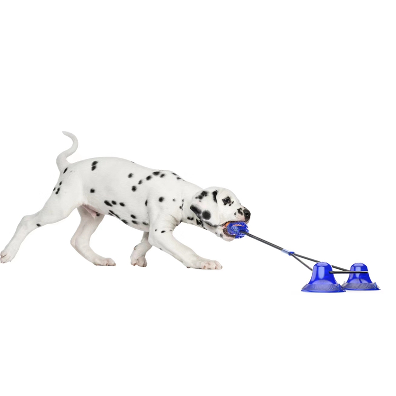Suction Cup Dog Toy,Multifunction Molar Chew Toy,Pulling,Chewing,with