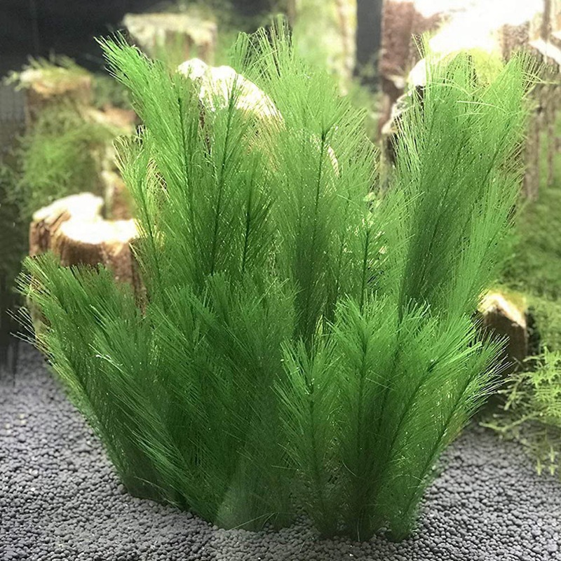 2X(Aquarium Decorations Fish Tank Artificial Green Water
