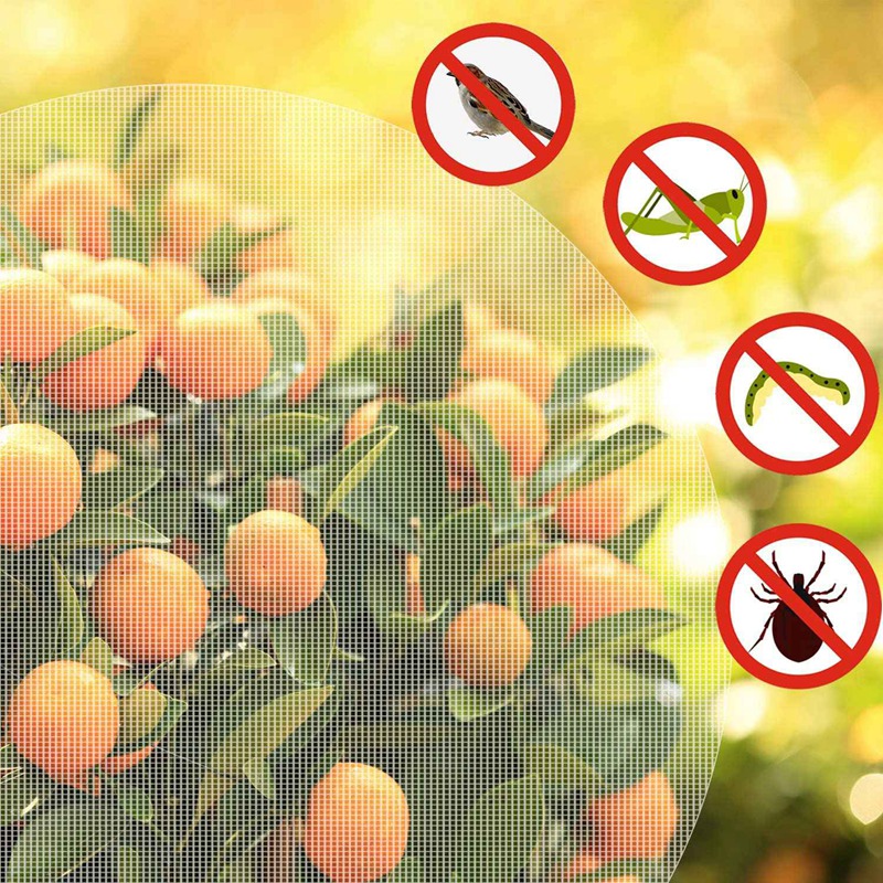 2 Piezas de Red una Prueba de PáJaros para Cubrir Plantas, Bolsa de