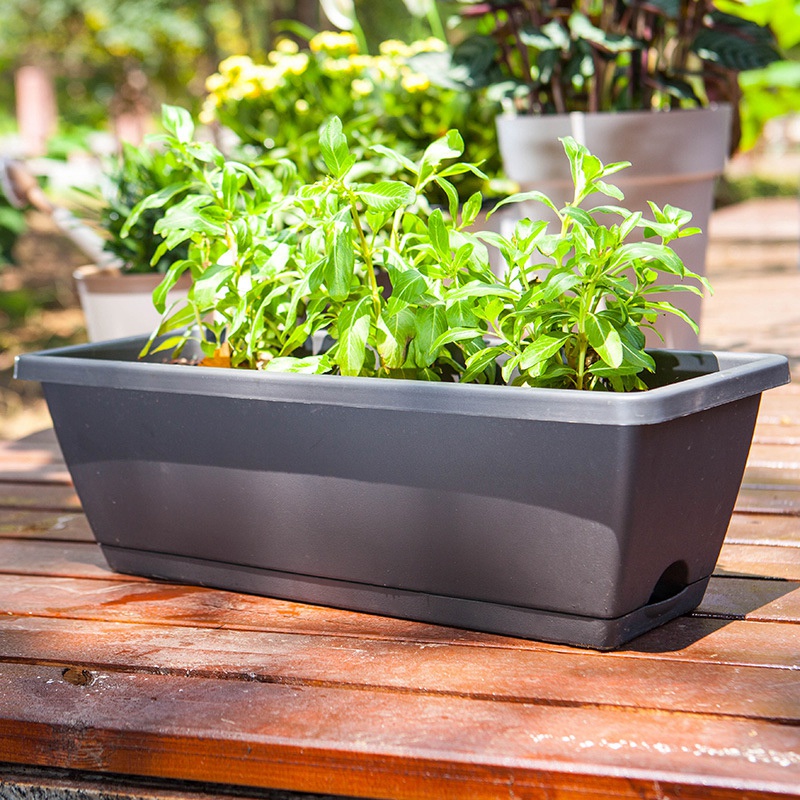 2 Packs Self Watering Planters Rectangular Plant Pot