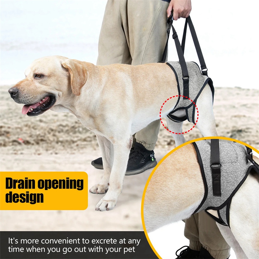 Adjustable Dog Sling Back Legs Hip Support Pet Dogs Aid Assist Tool for Aid7198 - Picture 11 of 29