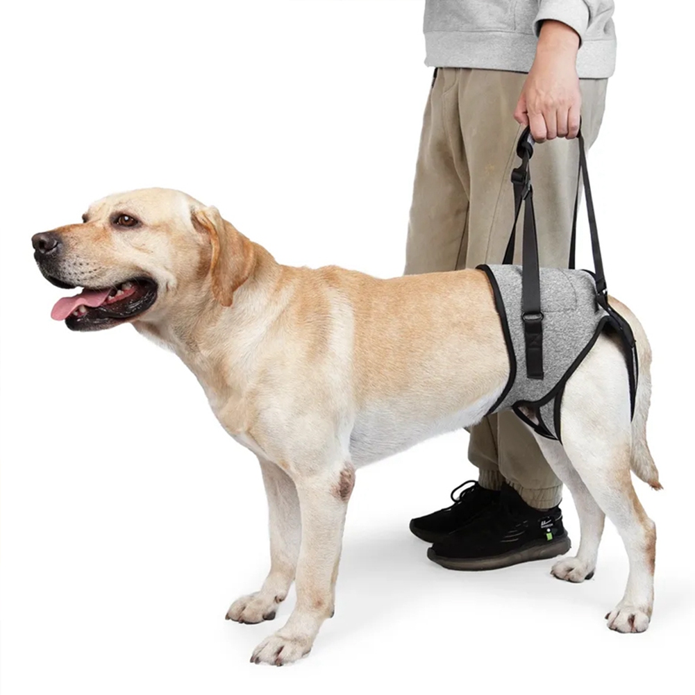Adjustable Dog Sling Back Legs Hip Support Pet Dogs Aid Assist Tool for Aid7198 - Picture 10 of 29