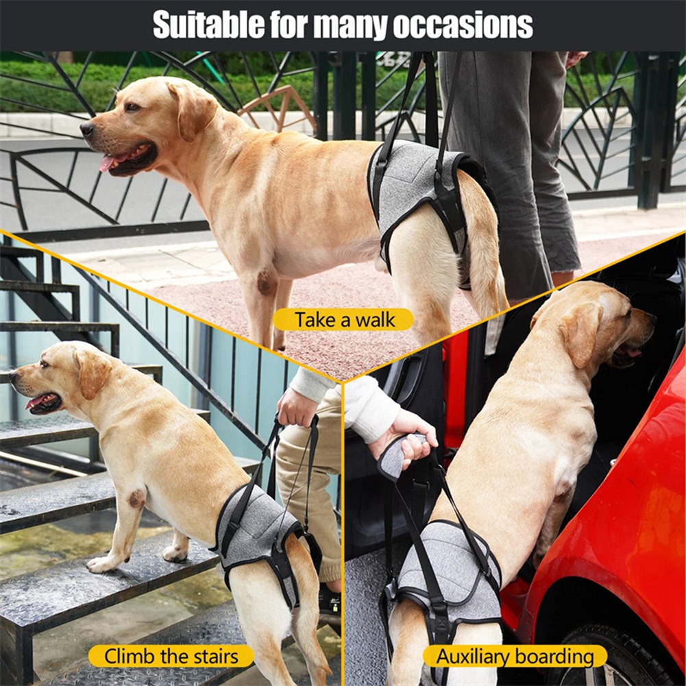 Adjustable Dog Sling Back Legs Hip Support Pet Dogs Aid Assist Tool for Aid7198 - Picture 15 of 29